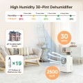 Airfire 8 Pint Dehumidifiers, 1500 Sq.Ft Dehumidifier with Drain Hose, 0.59 Gal Water Tank, Overflow Protection, Dehumidifiers for Home Basement Bedroom Bathroom Laundry Room