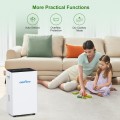 Airfire 3500 Sq. ft 15 Pint (DOE) Dehumidifier for Basement, Dehumidifiers with Drain Hose for Home Bedroom Bathroom Large Room, Auto Defrost& Drain, 24H Timer, 1.59 gal Water Tank, Dry Clothes