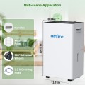 Airfire 3500 Sq. ft 15 Pint (DOE) Dehumidifier for Basement, Dehumidifiers with Drain Hose for Home Bedroom Bathroom Large Room, Auto Defrost& Drain, 24H Timer, 1.59 gal Water Tank, Dry Clothes